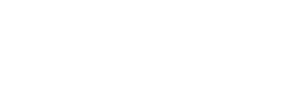 Alphadi